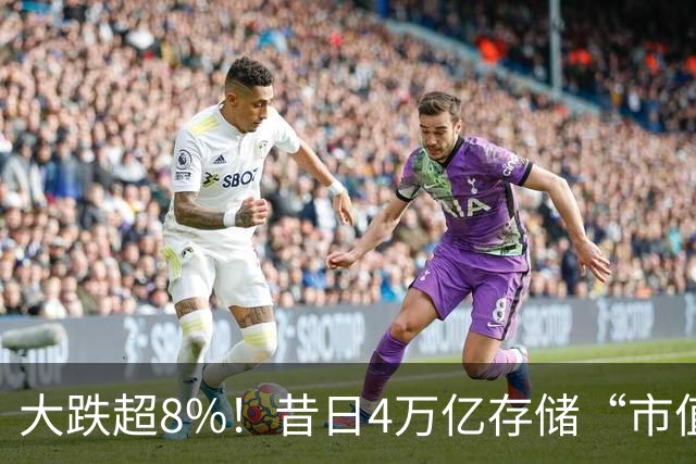 大跌超8%！昔日4万亿存储“市值一哥”，两个月市值蒸发1.3万亿，还会跌吗？