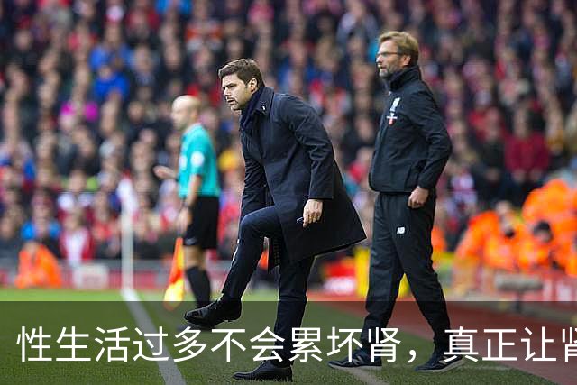 性生活过多不会"累"坏肾，真正让肾报废的事可能每天都在做