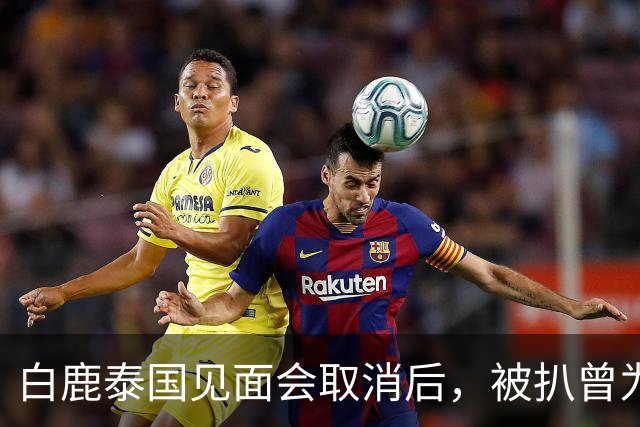 白鹿泰国见面会取消后，被扒曾为缅北拍宣传片，知情人爆更多内幕